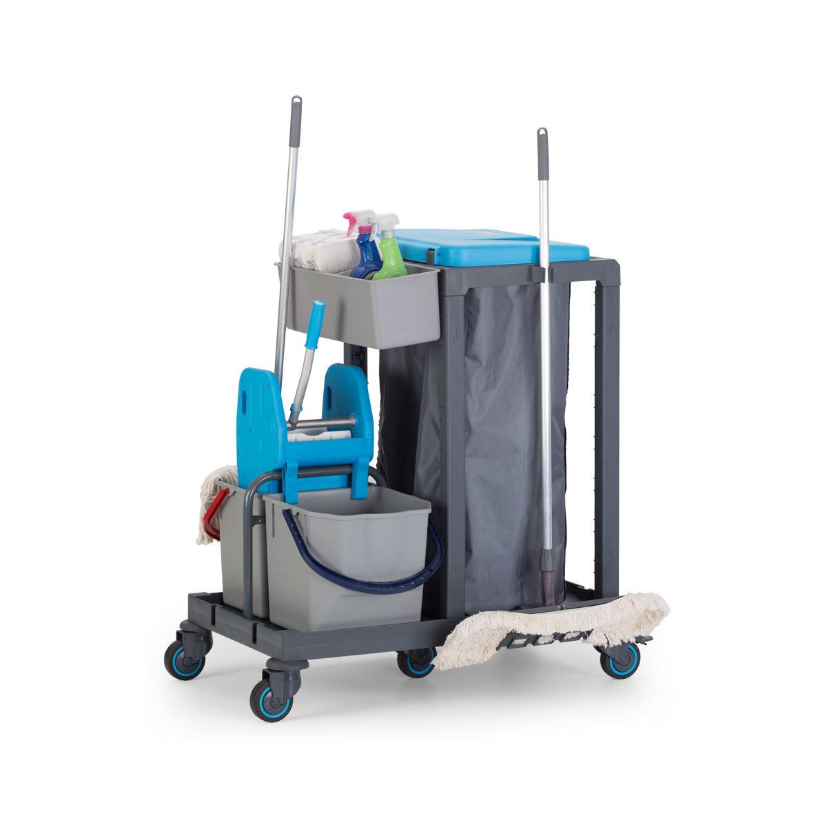 PROCART301